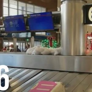 Atlanta passengers annoyed by delayed bags
