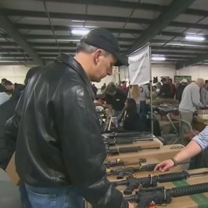 Georgia emerges as top gun manufacturer