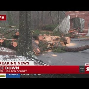 High winds cause tree to fall at Roswell City Hall