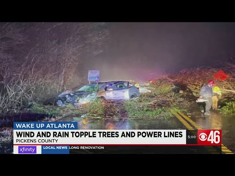 Strong winds and rain topple trees, power lines