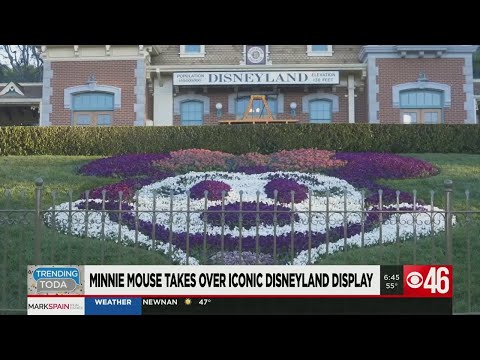 Minnie Mouse takes Mickey's iconic spot at Disneyland for Women's History Month