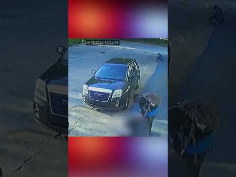 APD releases video of person wanted in murder of security guard